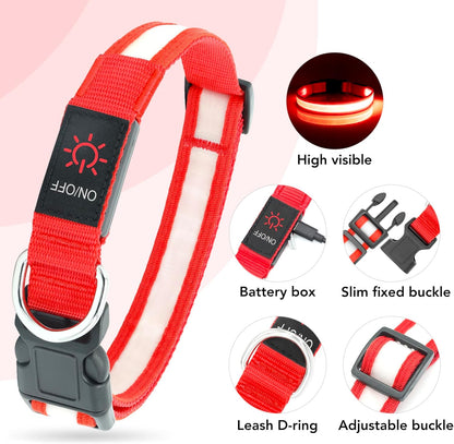 Adjustable USB Rechargeable LED Dog Collar with Super Bright Safety Light - Medium Size, Red