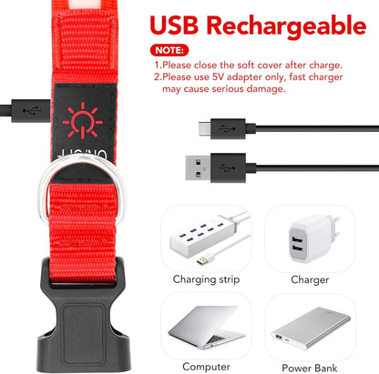 Adjustable USB Rechargeable LED Dog Collar with Super Bright Safety Light - Medium Size, Red