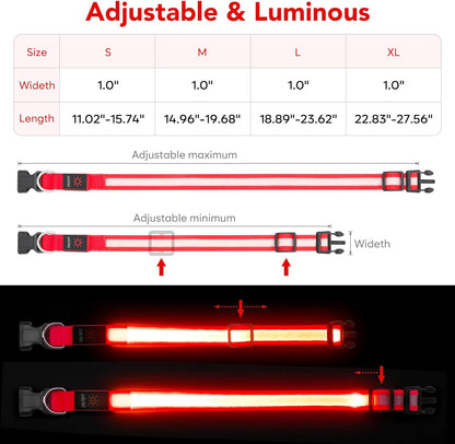 Adjustable USB Rechargeable LED Dog Collar with Super Bright Safety Light - Medium Size, Red