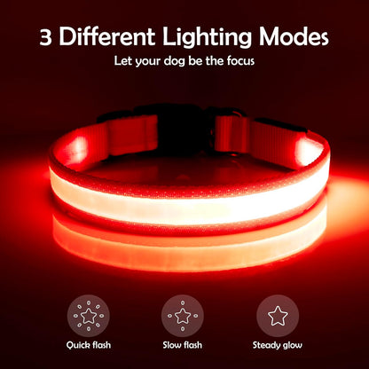 Adjustable USB Rechargeable LED Dog Collar with Super Bright Safety Light - Medium Size, Red